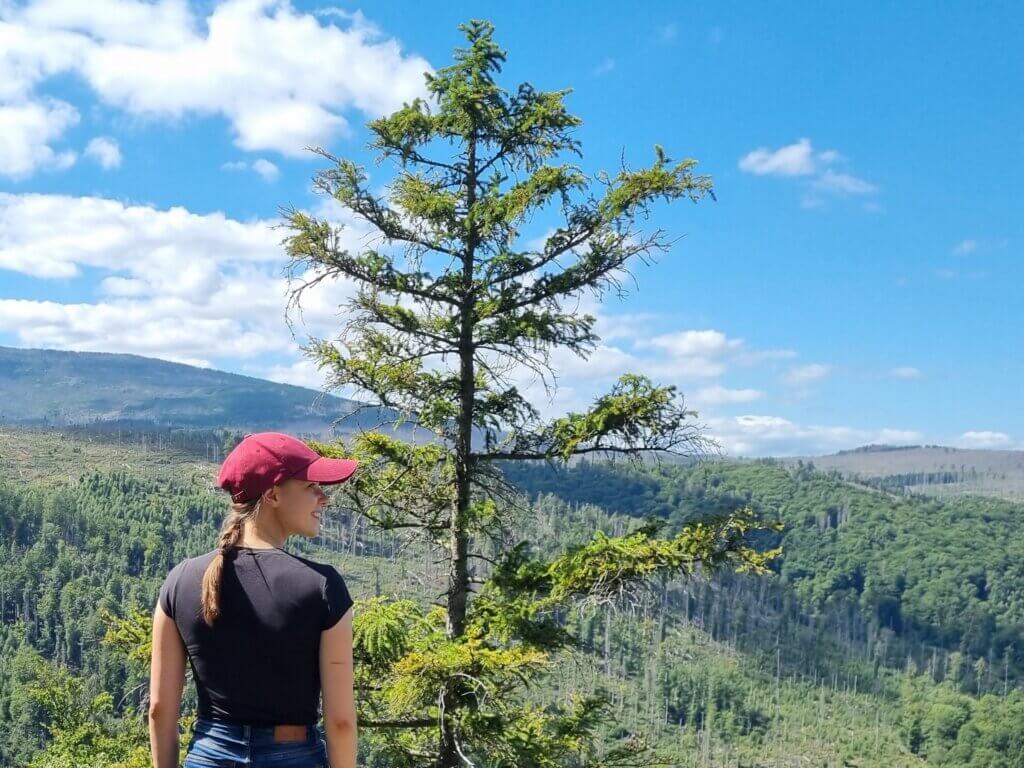 me looking to the future